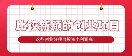 比较新颖的创业项目名称有哪些？这些创业好项目投资小利润高！(创新创业名称大全)